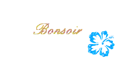 bonsoir.gif